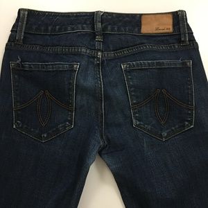 LEVEL 99 Anthropologie LILY Skinny Straight Jeans